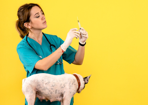veterinary clinic in Dubai,