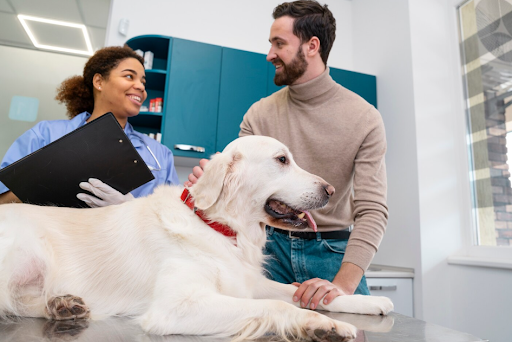 veterinary clinic